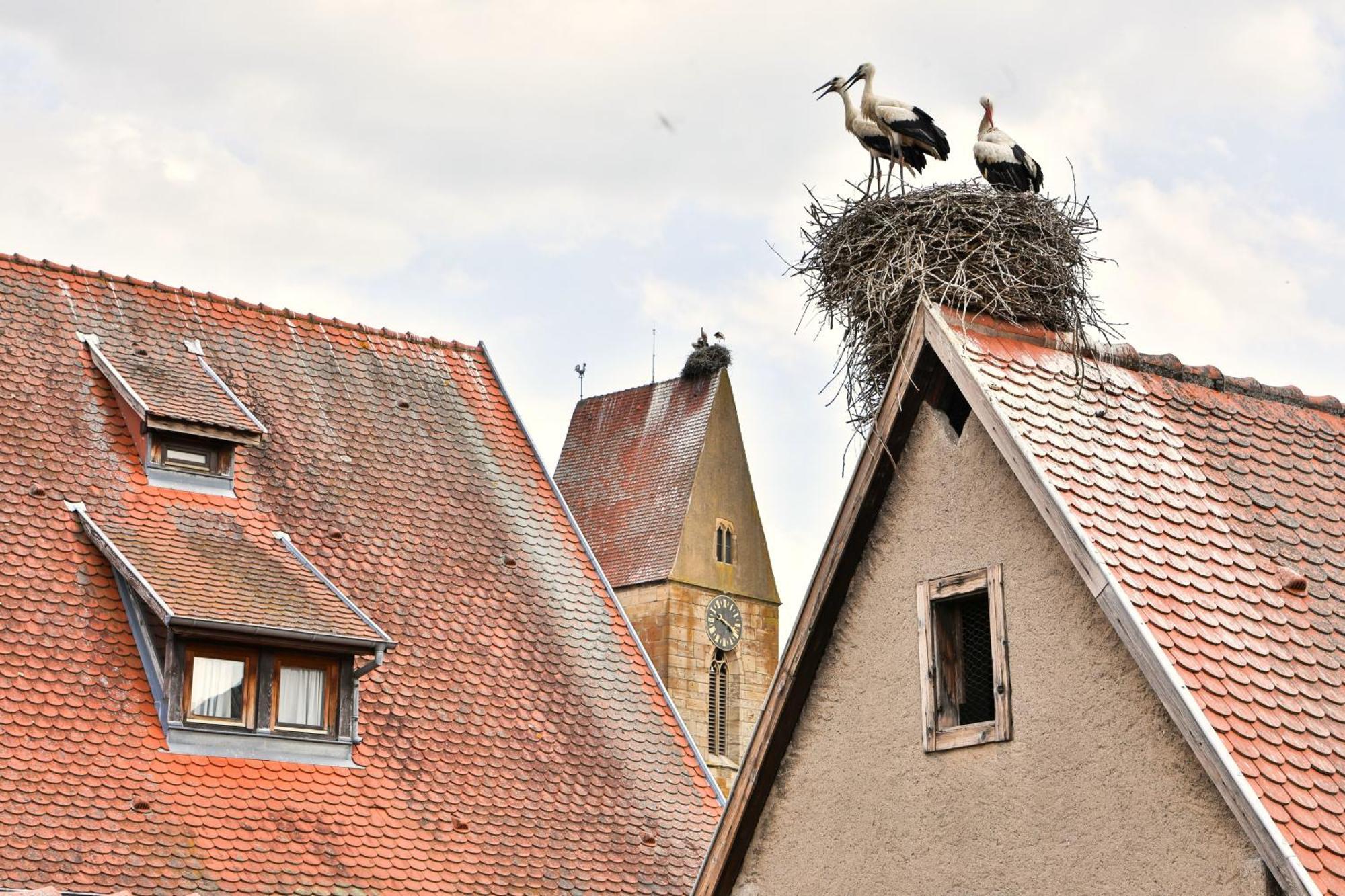 Apartamento La Légende des 2 Pierres Eguisheim Exterior foto
