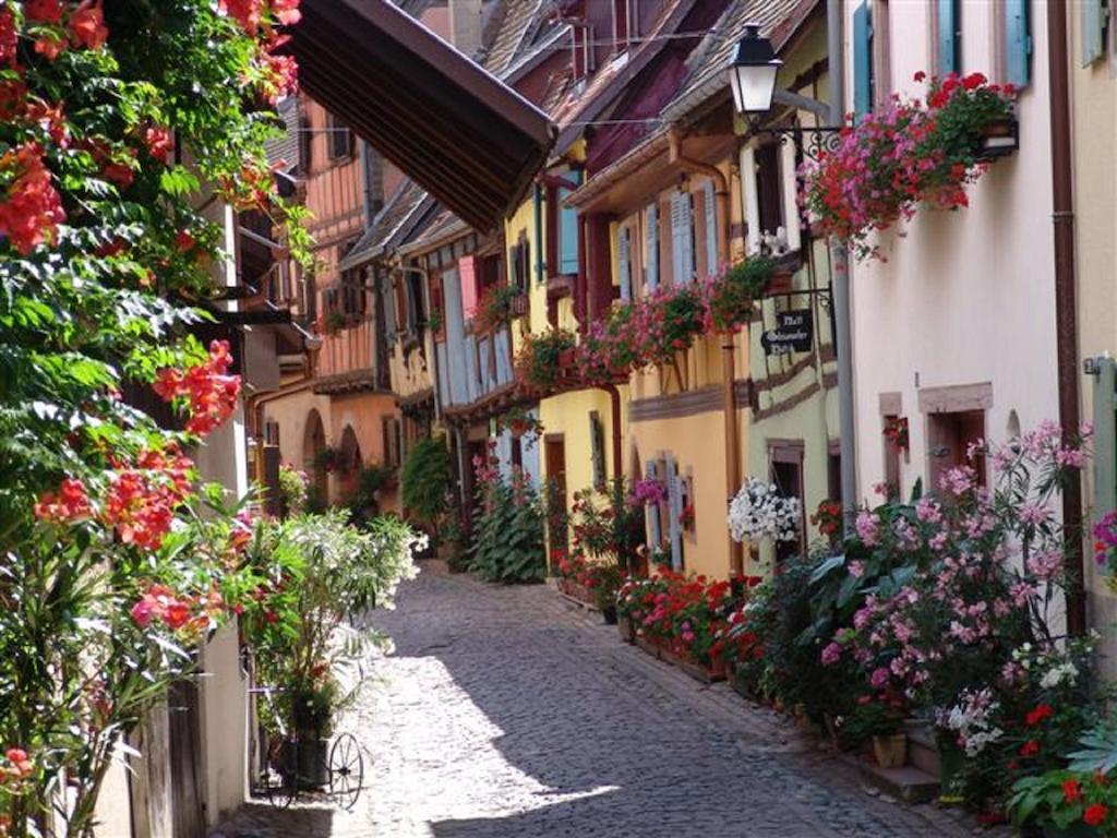 Apartamento La Légende des 2 Pierres Eguisheim Habitación foto