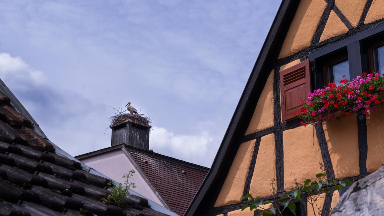 Apartamento La Légende des 2 Pierres Eguisheim Exterior foto